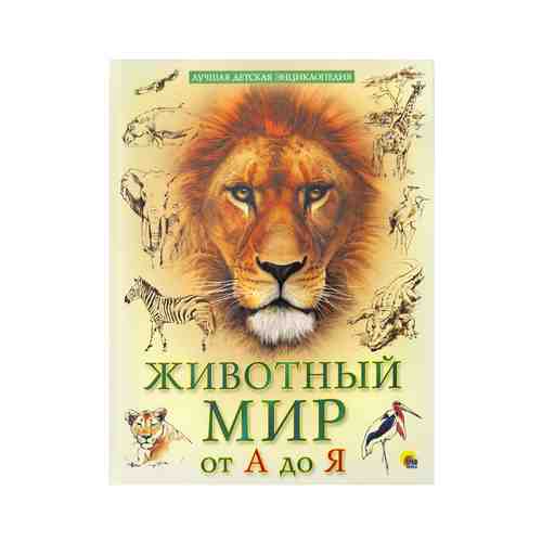 Детская энциклопедия арт. 4000249